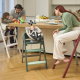 Стільчик для годування 3 в 1 Chicco Crescendo Up (87046.87)