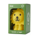 Купити світильник нічник Lion Bundle of Light 13 см, дитяча кімната, арт. miffy09 у Києві в магазині KIOSK для МАМ
