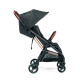 Коляска компактна Peg-Perego Selfie 500 (вишукано-коричнева зі смужкою), IP22000000GS53SQ53
