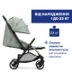 Прогулочная коляска Chicco Goody Xplus, 87040.76