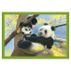 Пазл 4 в 1 Clementoni "Baby Cuddles", 12,16,20 и 24 элемента, 21532