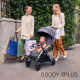 Прогулочная коляска Chicco Goody Xplus, 87040.27