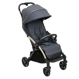 Прогулянкова коляска Chicco Goody Xplus, 87040.27
