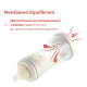 Пляшечка пластик Chicco PERFECT 5 Friends, 300 мл, соска силікон, 4 м+, 20235.22.40