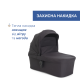 Коляска 2 в 1 Chicco Seety, 87097.31.01