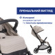 Прогулочная коляска Chicco Goody Xplus, 87040.43