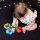 Игрушка-подвеска на коляску Baby Einstein "Touch of Nature" (16886)