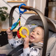 Игрушка-подвеска на коляску Baby Einstein "Touch of Nature" (16886)
