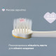 Зубна щітка Chicco для перших зубів, 6-36 міс., 2 шт. (12082.11)