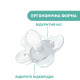 Пустушка Chicco Physio Comfort, силікон, 2-6 міс, 1 шт., 74911.11.00