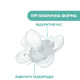 Пустушка Chicco Physio Comfort, силікон, 2-6 міс, 1 шт., 74911.21.00
