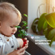 Гель для купання з екстрактом мальви та гліцерином Chicco Baby Moments "Без сліз", 500 мл (10582.00)