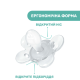Пустушка Chicco Physio Comfort, силікон, 2-6 міс., 2 шт., 74931.21.00