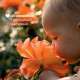 Одеколон дитячий освіжаючий Chicco Baby Moments, 100 мл (10599.00)