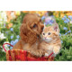 Пазл Clementoni "Noli Cute Friends", серия "MAXI", 104 элемента (25763)