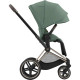 Текстиль для прогулочного блока Cybex Priam Leaf Green (523000773)