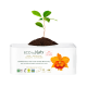 Органічні щоденні прокладки Eco by Naty Normal 32 шт, арт. 475502811 