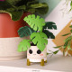 Фігурка Funko POP Home: Kawaii Monstera Plant, 889698883825