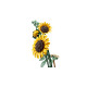 Конструктор LEGO Botanicals Букет соняшників, 11502