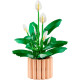 Конструктор LEGO Botanicals Спатифілум, 11504
