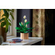 Конструктор LEGO Botanicals Спатифілум, 11504