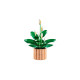 Конструктор LEGO Botanicals Спатифілум, 11504
