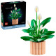 Конструктор LEGO Botanicals Спатифілум, 11504