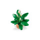 Конструктор LEGO Botanicals Спатифілум, 11504