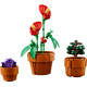 LEGO Конструктор Icons Маленькі квіти, 10329