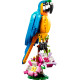 LEGO Конструктор Creator Екзотичний папуга, (31136) | LEGO в Україні