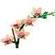 Конструктор LEGO Botanicals Міні орхідея, 10343