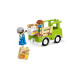 Конструктор LEGO DUPLO Догляд за бджолами й вуликами 22 деталі (10419)