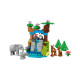 Конструктор LEGO DUPLO Town Сімейства диких тварин 3-в-1, 10446