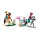 Конструктор LEGO Friends Кінна зграя та академія верхової їзди, 42688