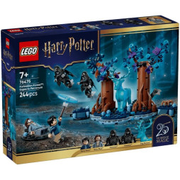 Конструктор LEGO Harry Potter Заборонений ліс: Експекто патронум, 76475