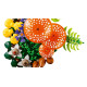 Конструктор LEGO Botanicals Лісові гриби, 11505