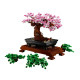 Конструктор LEGO Creator Expert Botanicals Дерево бонсай, 10281-