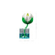 Конструктор LEGO Botanicals Латаття, 11511