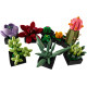 Конструктор LEGO Botanicals Сукуленти