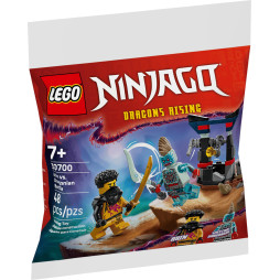 Конструктор LEGO recruitment Ninjago Арін проти Дракона: Битва, 30700