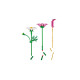Конструктор LEGO Botanicals Квіти космеї, 11514