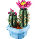 Конструктор LEGO Botanicals Цвітіння кактуса, 11509