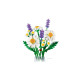 Конструктор LEGO Botanicals Ромашки, 11508