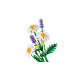 Конструктор LEGO Botanicals Ромашки, 11508