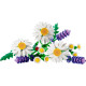 Конструктор LEGO Botanicals Ромашки, 11508