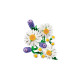 Конструктор LEGO Botanicals Ромашки, 11508