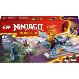 Конструктор LEGO Ninjago Молодий дракон Рію, 71810