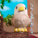 Іграшка, що зростає, в яйці «Eggy Animals» - ПТАШКИ (у дисплеї), 91/CN22