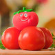 Стретч-іграшка у вигляді овочу – BORSCH (у диспл.), 41/CN23