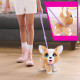 Інтерактивна іграшка FURREAL серії Poop-A-Lots – КОРГІ, арт. 28057